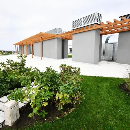 El Rojo Z Garazem コウォブジェク